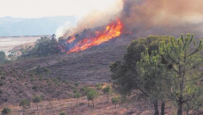 El fuego arrasa 72 hectáreas del paraje Mina La Poderosa