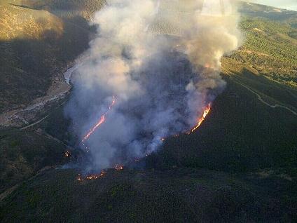 El incendio declarado el sábado en Almonaster arrasó 9,99 hectáreas de matorral